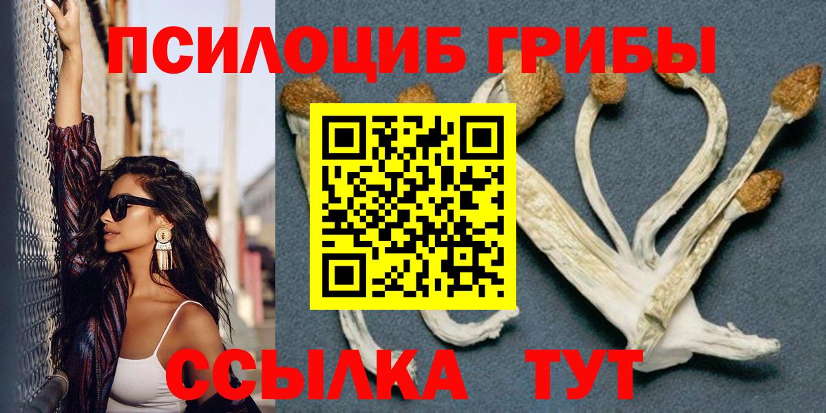 Псилоцибиновые грибы ЛСД  Вход с VPN  Дзержинский 